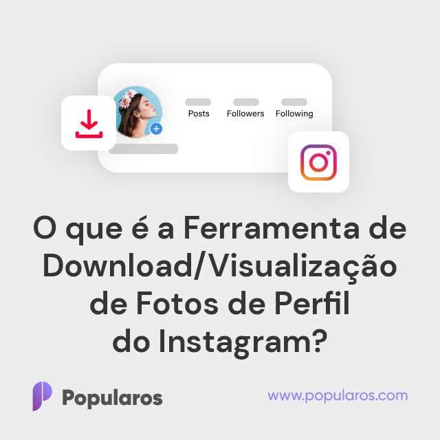 O que é a Ferramenta de Download/Visualização de Fotos de Perfil do Instagram?